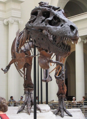 SUE the T. rex — ranked #10