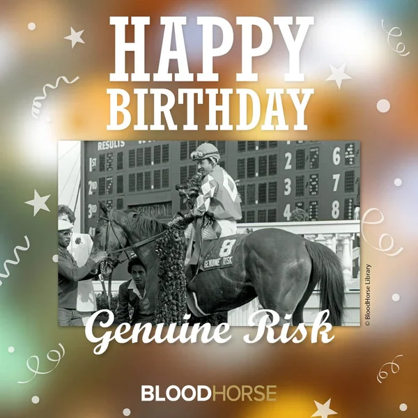 Genuine Risk - ranking option ranked #9
