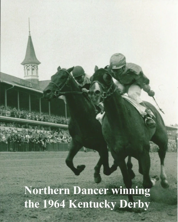 Northern Dancer - ranking option ranked #8