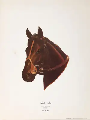 Seattle Slew — ranked #2