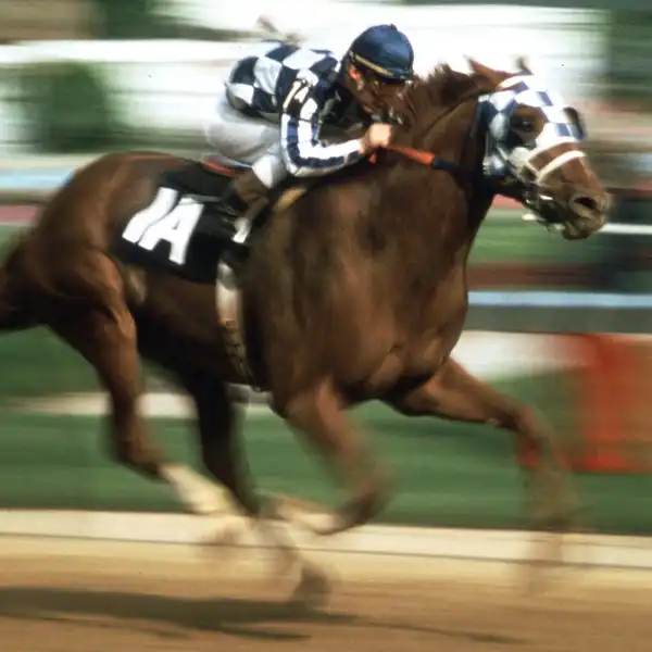 Secretariat - ranking option ranked #1