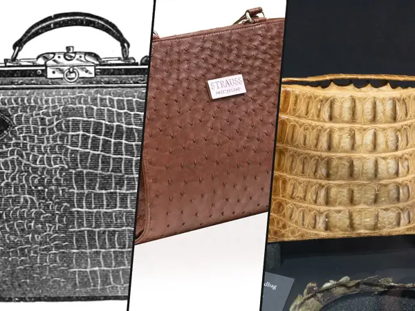 What is the most luxurious exotic leather?