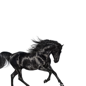 Old Town Road — ranked #12