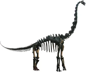 Brachiosaurus — ranked #12