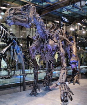 Iguanodon — ranked #4