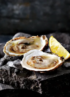 Oysters — ranked #7