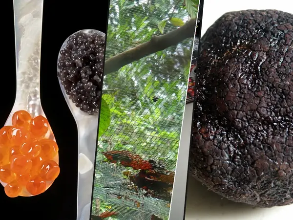 What is the most overrated luxury food?