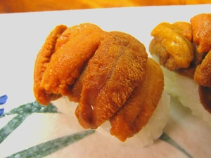 Sea urchin (uni) — ranked #16