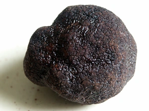 Truffles — ranked #10