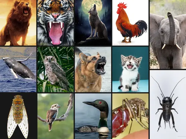 What is the most recognizable animal sound?
