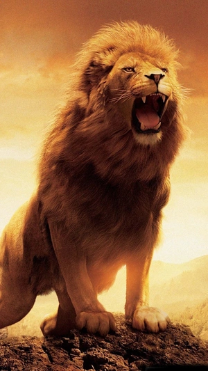 Lion's Roar — ranked #1