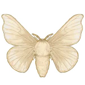 Silkmoth — ranked #7