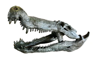 Deinosuchus — ranked #6