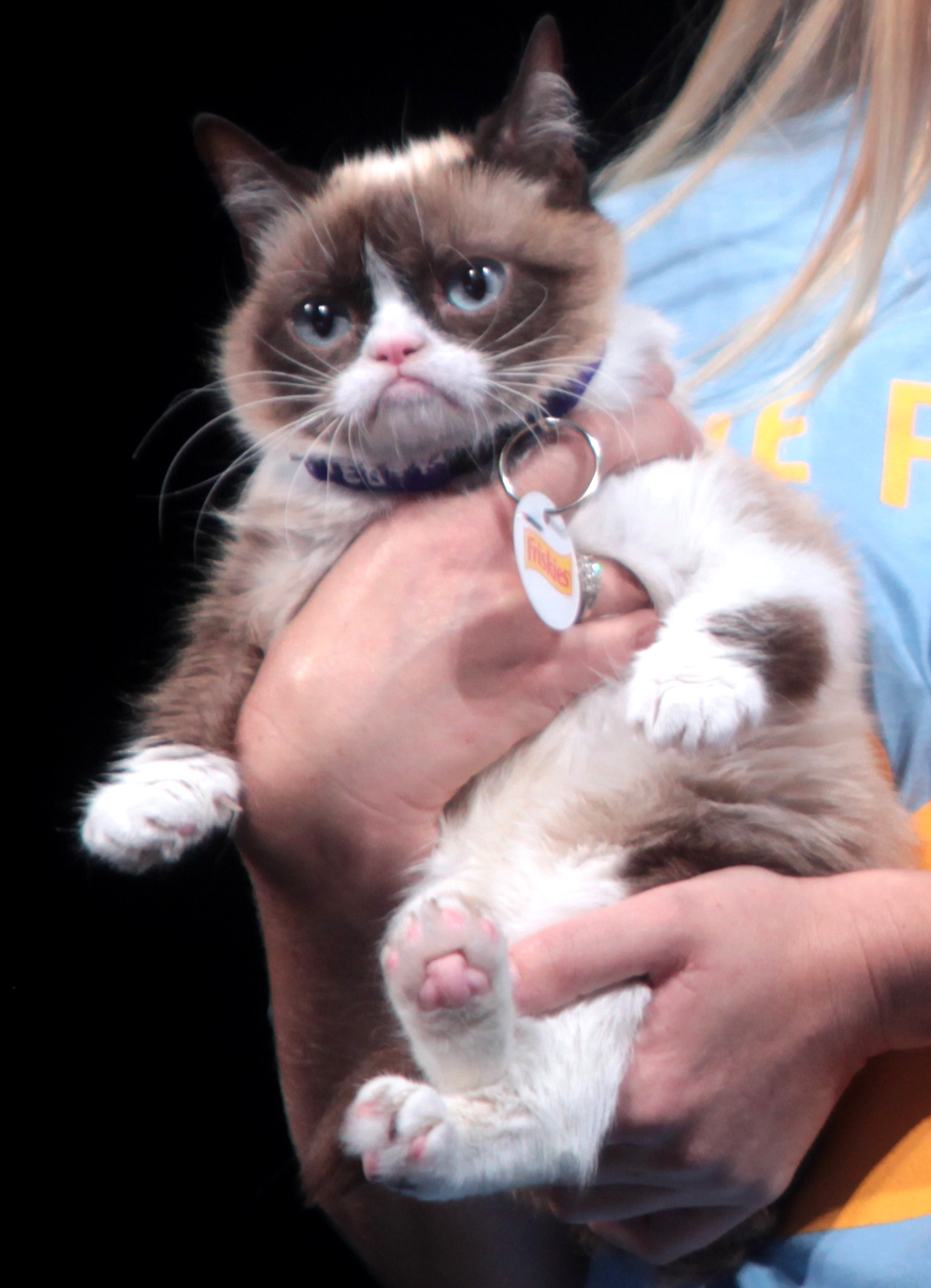 Grumpy Cat — ranked #1
