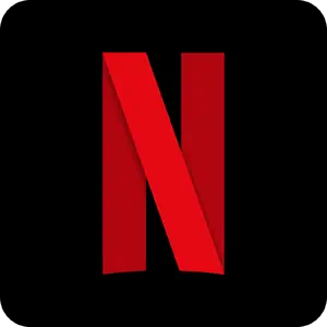 Netflix — ranked #9
