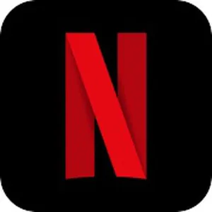 Netflix — ranked #8