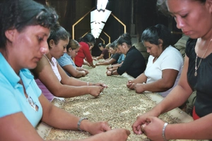 El Salvador — ranked #6