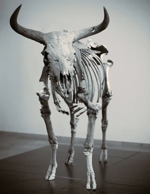 Aurochs — ranked #8