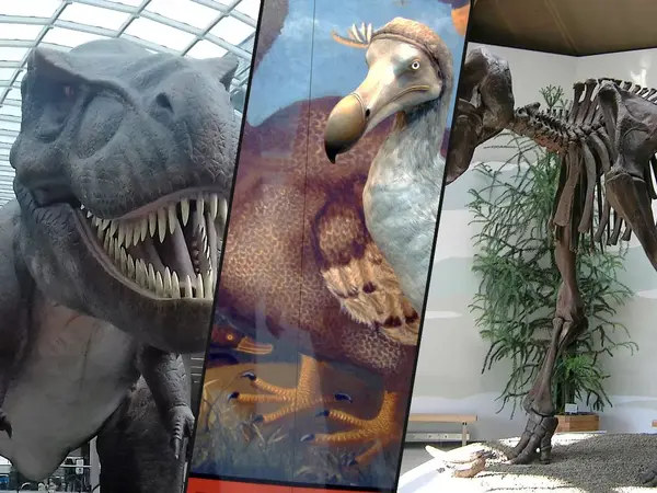 Which extinct animal should we bring back?