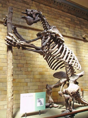Megatherium — ranked #12