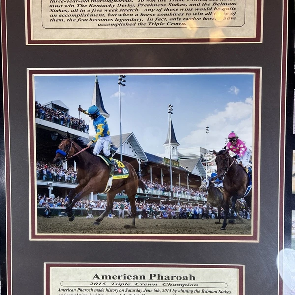 American Pharoah (2015) - ranking option ranked #2
