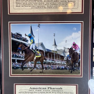 American Pharoah (2015) — ranked #2