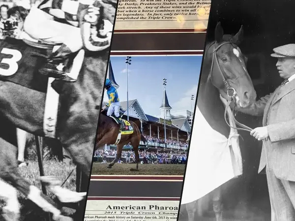 Which horse gave the best performance in Preakness Stakes history?