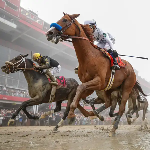 Justify (2018) - ranking option ranked #4