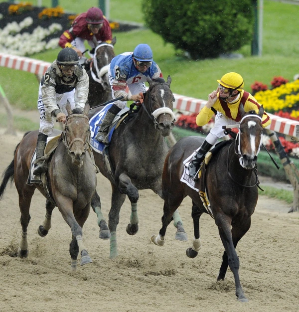 Rachel Alexandra (2009) - ranking option ranked #7