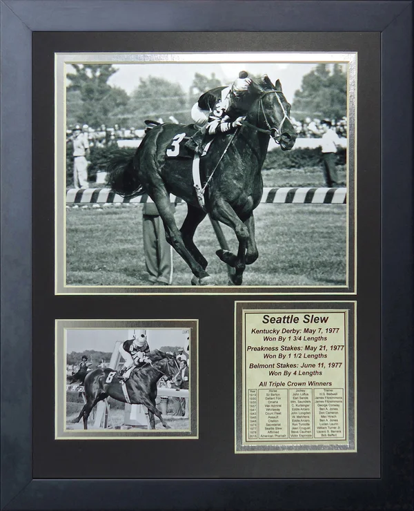 Seattle Slew (1977) - ranking option ranked #8