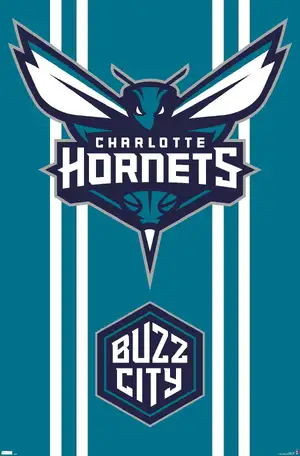 Charlotte Hornets — ranked #17