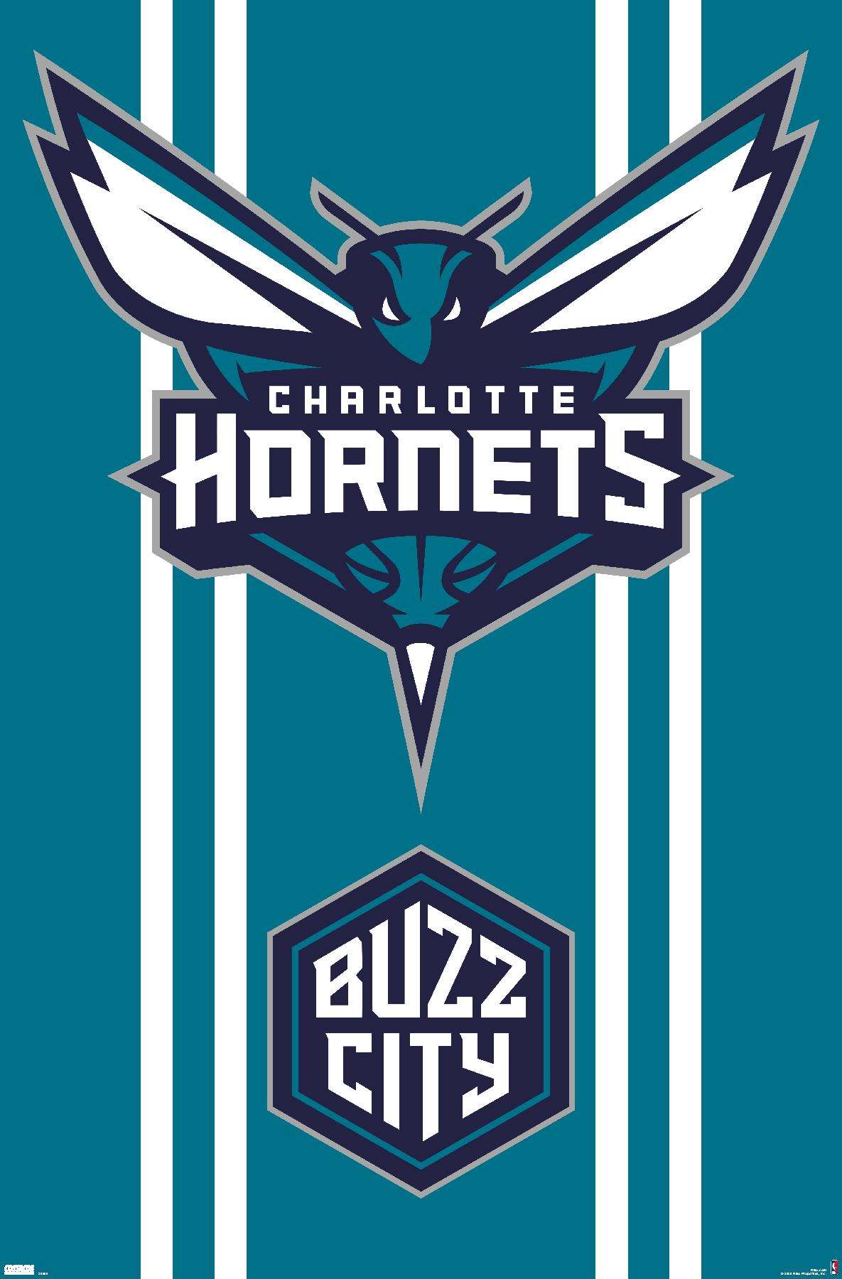 Charlotte Hornets — ranked #17