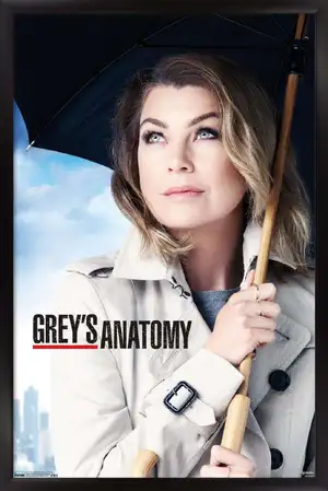Grey's Anatomy — ranked #2