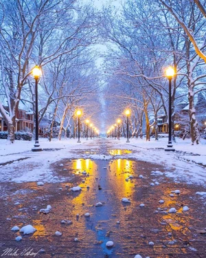 Detroit — ranked #9