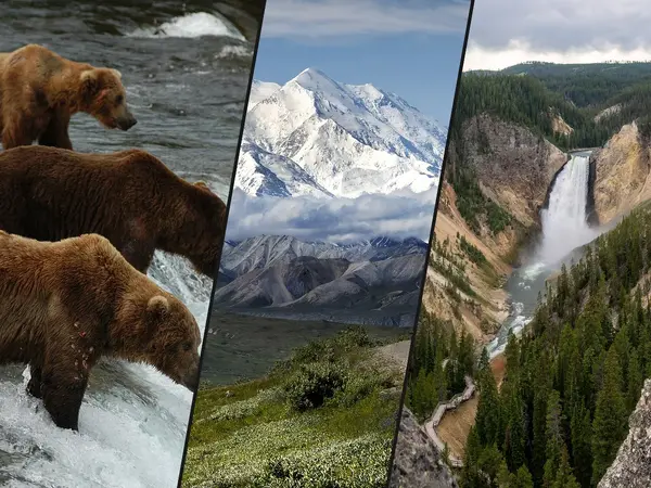 Which US national park is best for wildlife watching?