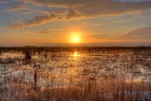Everglades National Park — ranked #5