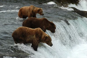 Katmai National Park — ranked #10