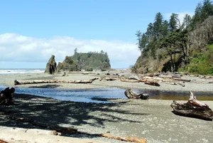 Olympic National Park — ranked #9