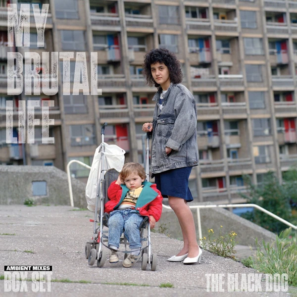 The Black Dog - ranking option ranked #8