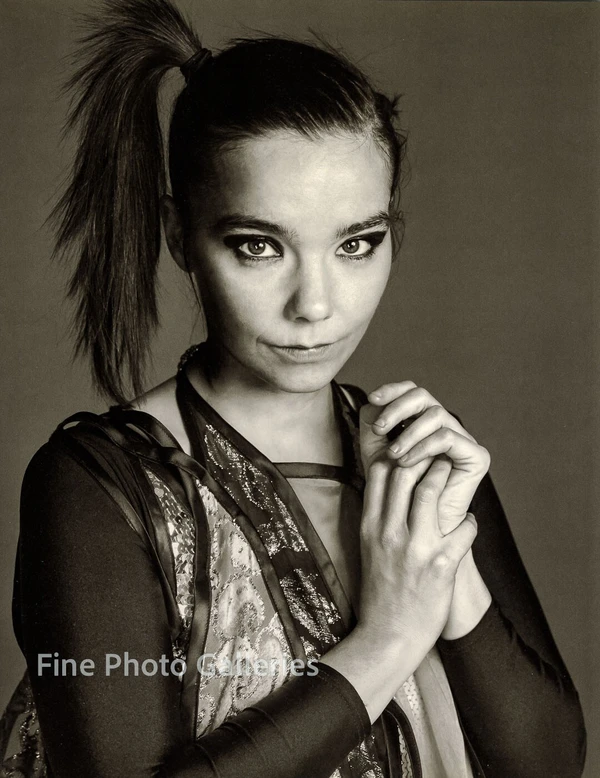 Bjork - ranking option ranked #8