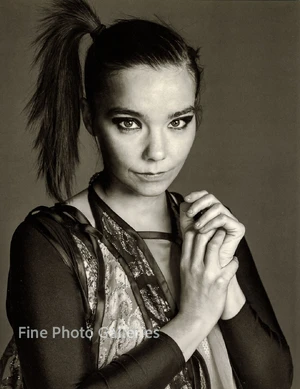 Bjork — ranked #8
