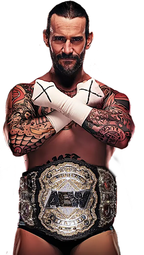 CM Punk - ranking option ranked #13