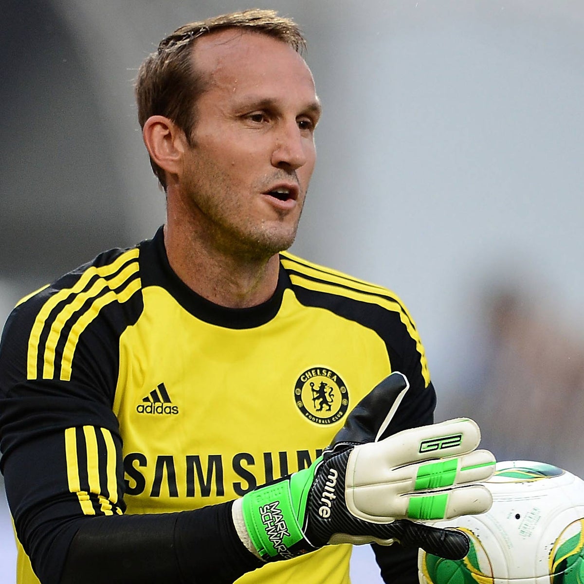Mark Schwarzer - ranking option ranked #2