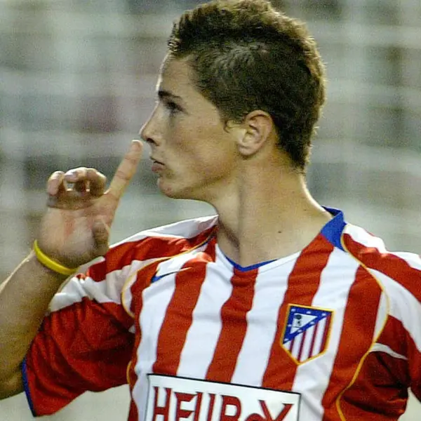Fernando Torres - ranking option ranked #1