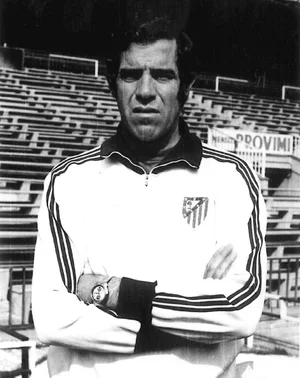 Luis Aragonés — ranked #5