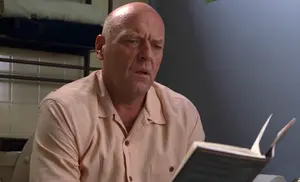 Hank Schrader — ranked #11