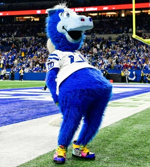 Blue — ranked #10