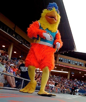 The San Diego Chicken — ranked #7