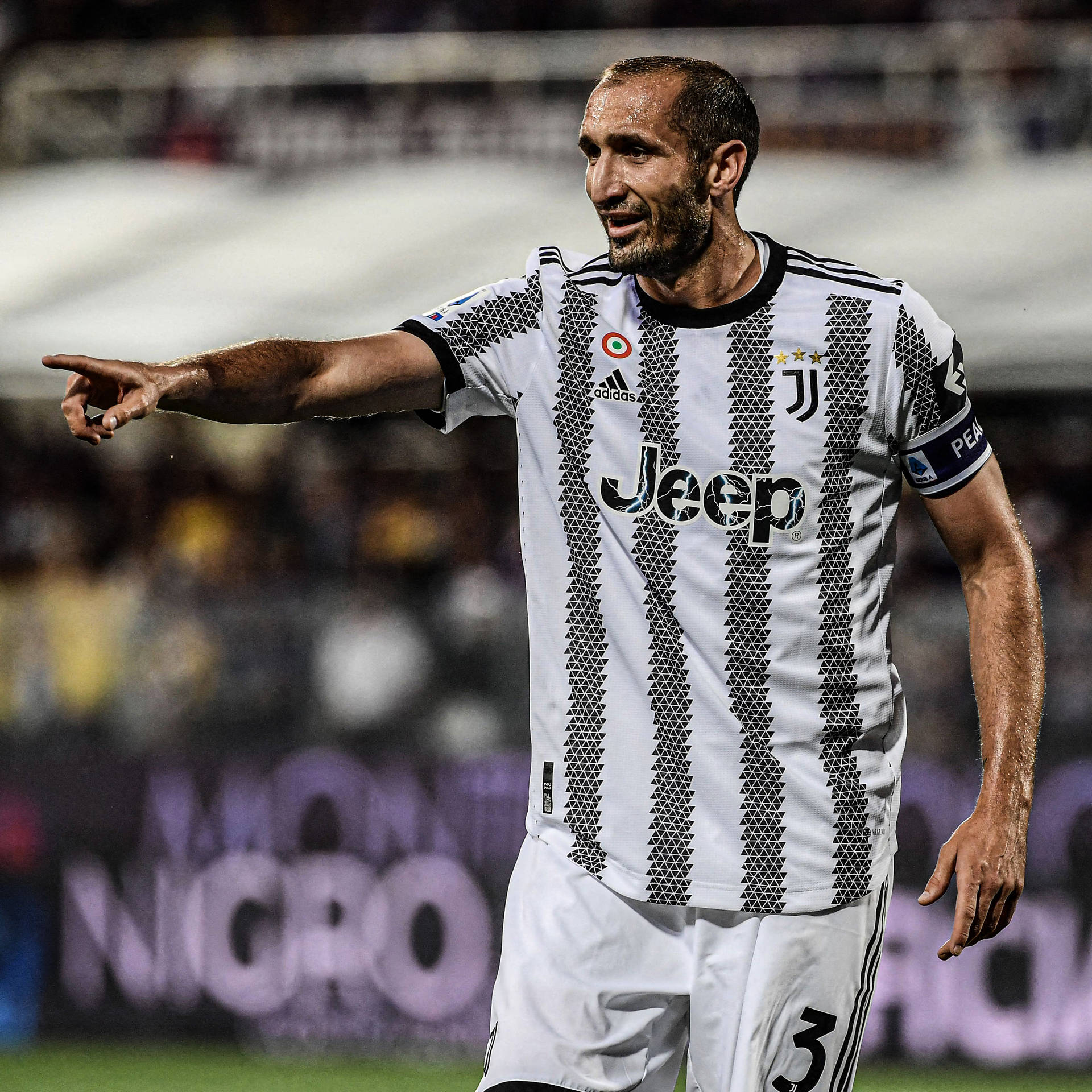 Giorgio Chiellini - ranking option ranked #7