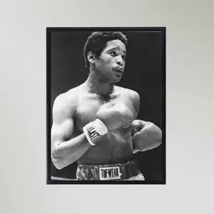 Wilfred Benitez — ranked #14